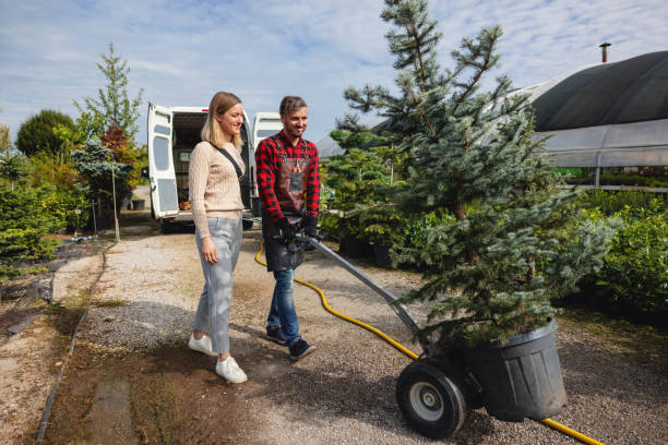 Tree Branch Trimming in Kittitas, WA